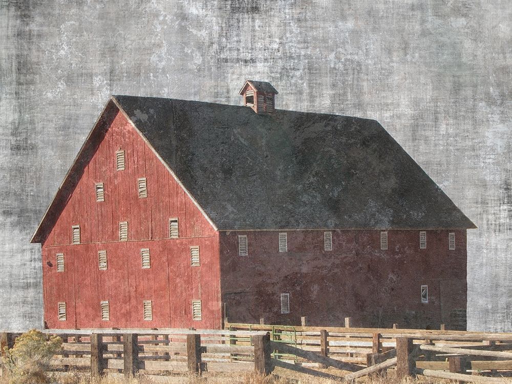 Barn Yard