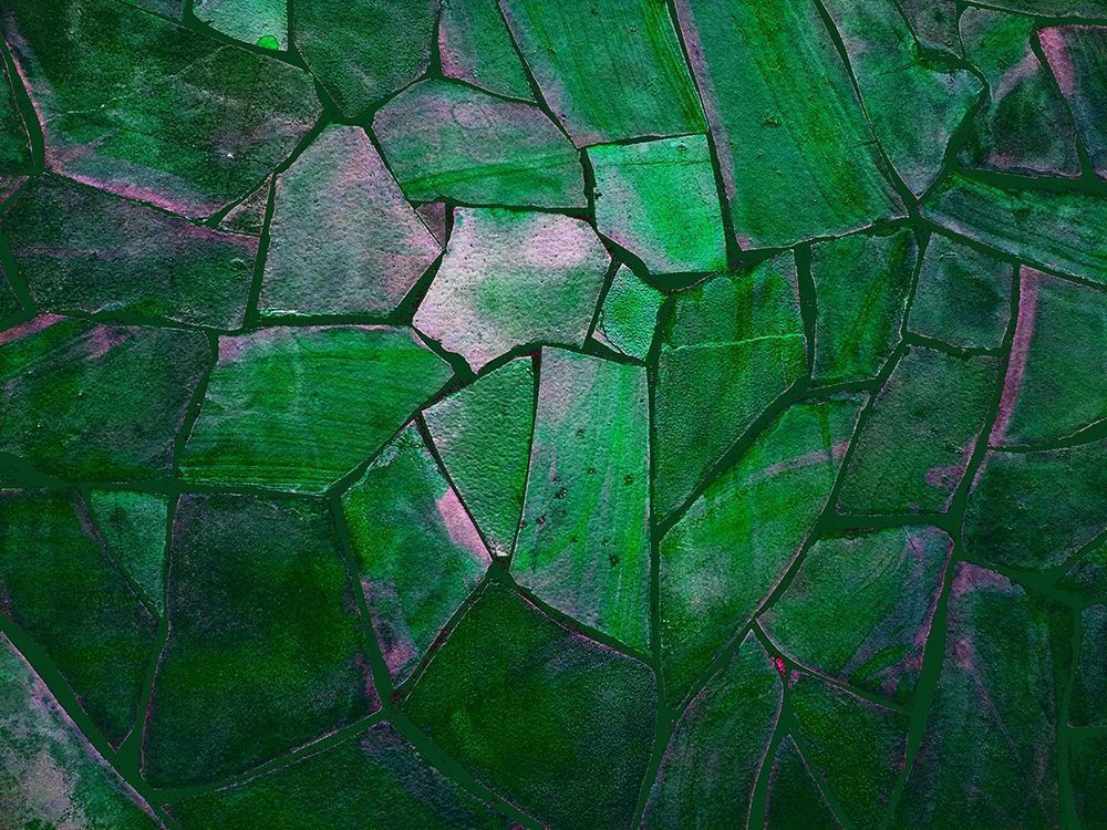 Tropical Green