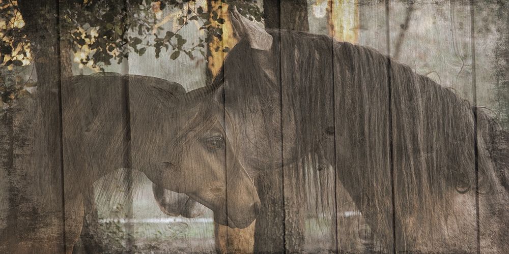 Love On The Ranch