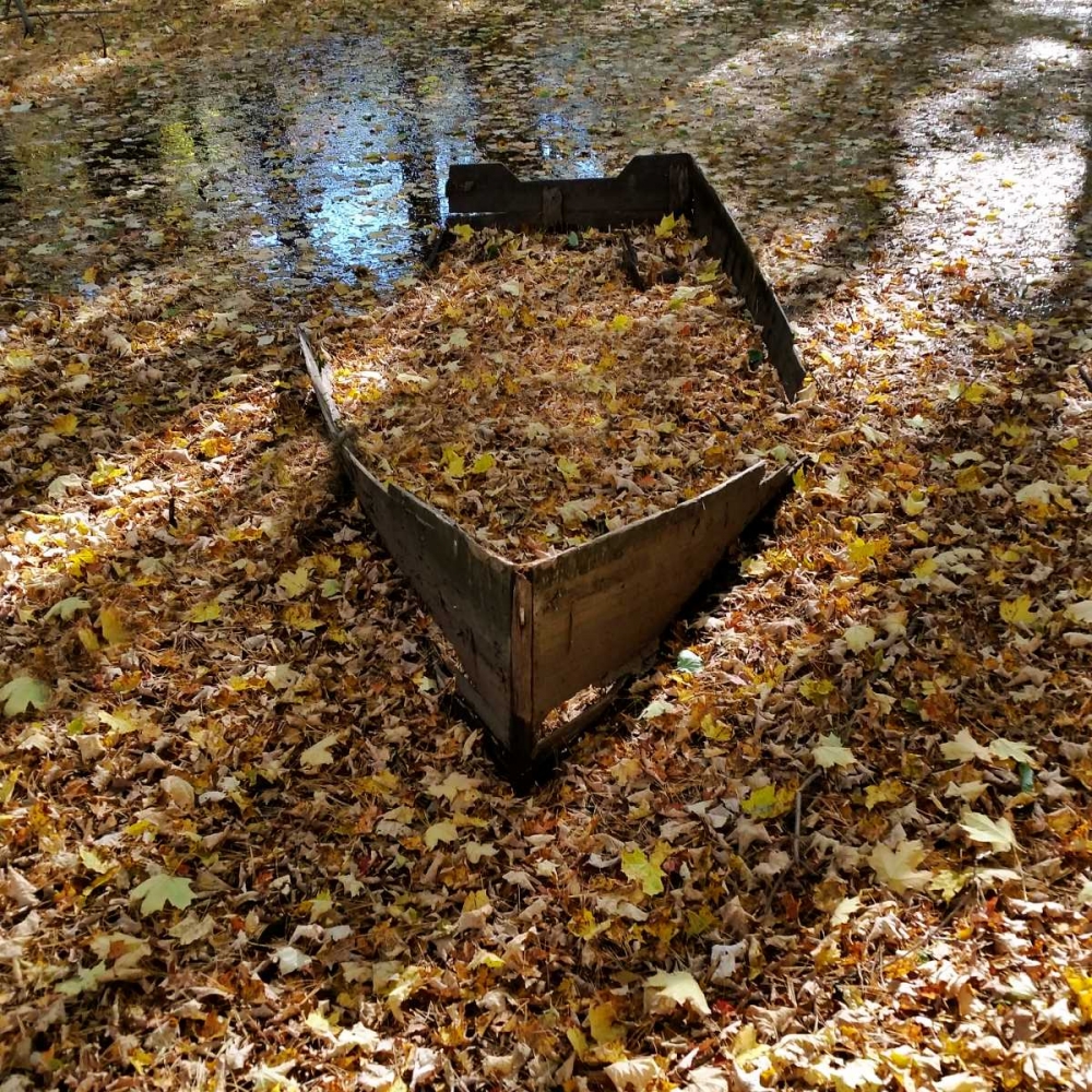 Little Stream