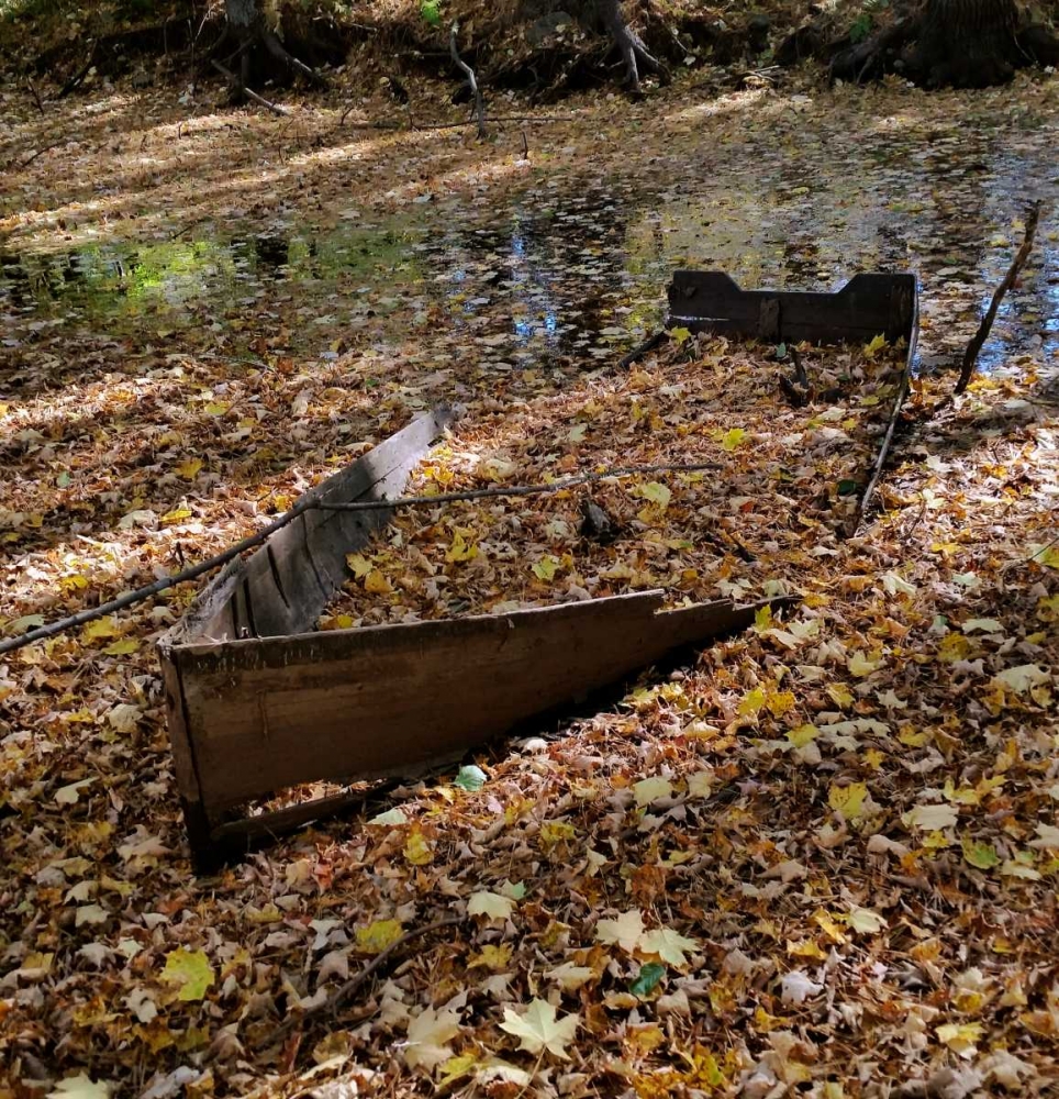 Dreamy Creek