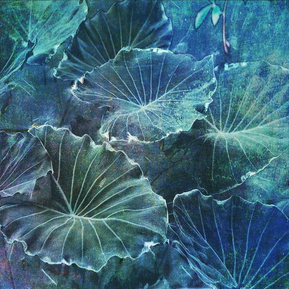 Mello Tropical 2