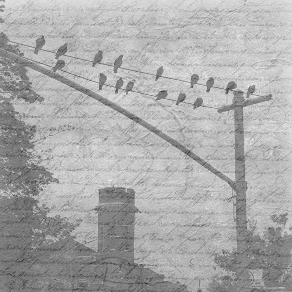 Birds In The Brooklyn Sky