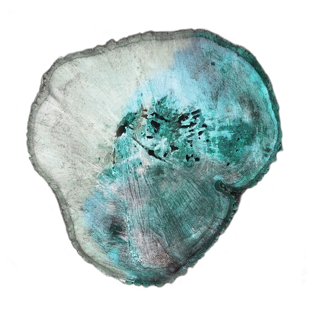 Emerald Tree Rings 1