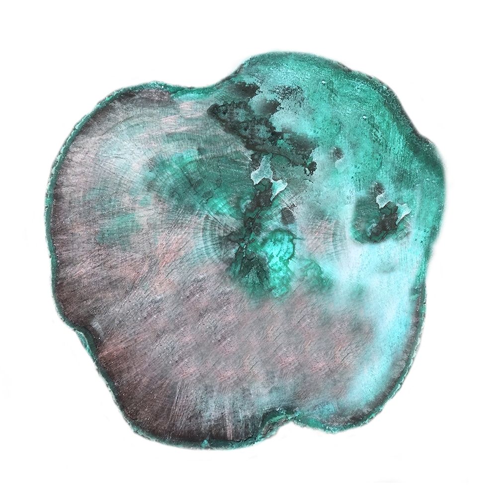 Emerald Tree Rings 2