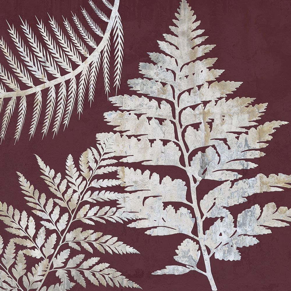 Fern Time 1