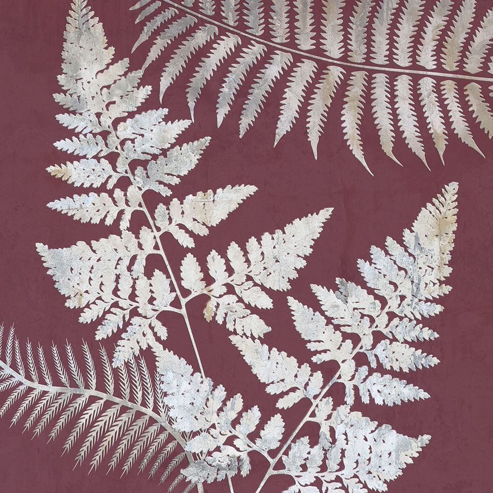 Fern Time 2