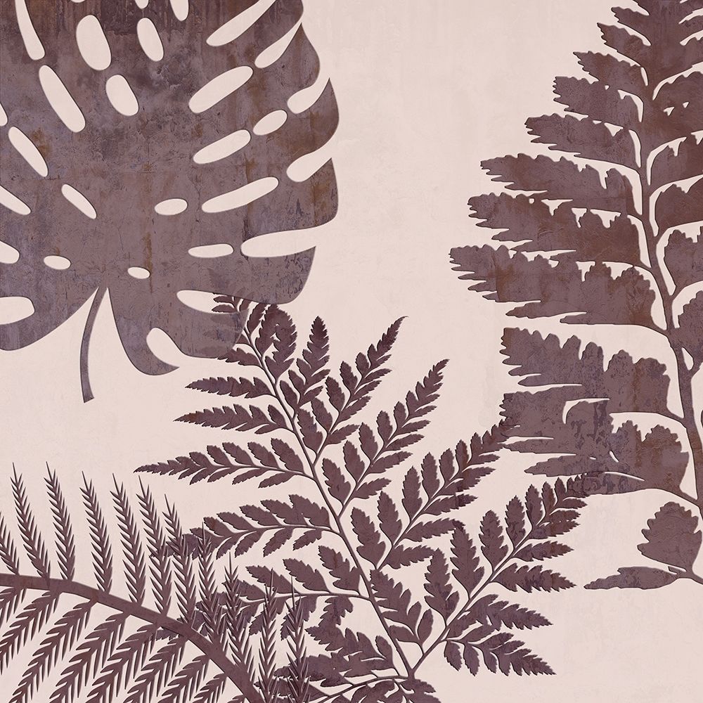 Fern Time 3