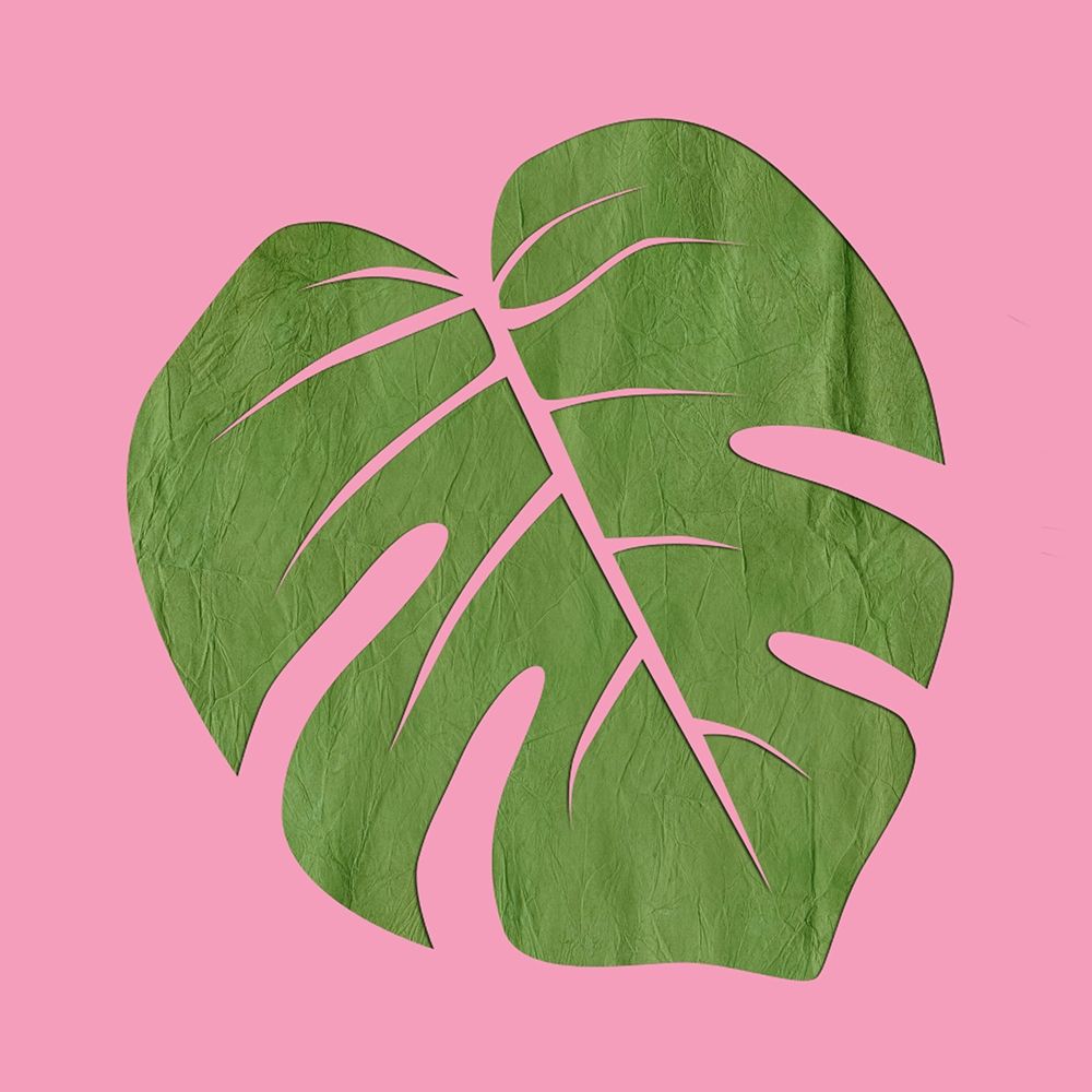 PinK Paradise