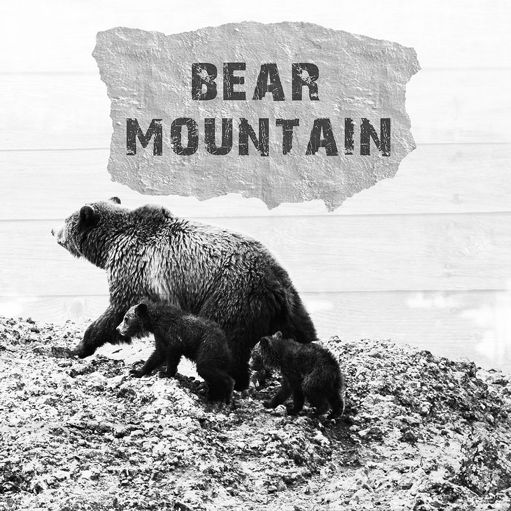 Bear Mountain