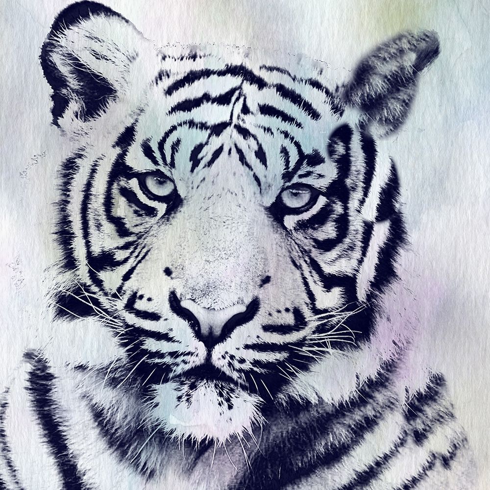 Tiger Roar