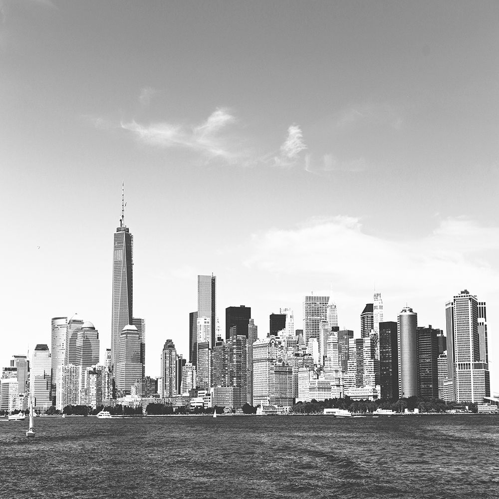 Fly NY