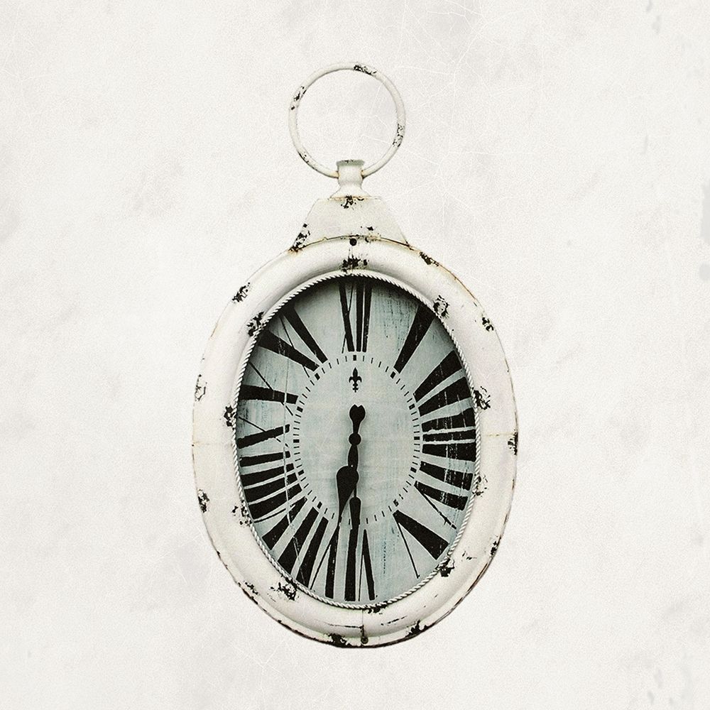 Time Traveler