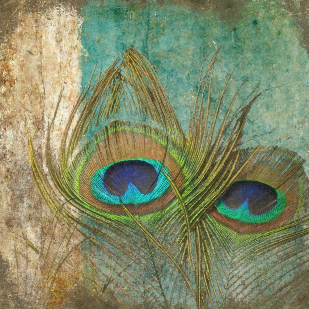 Peacock 1