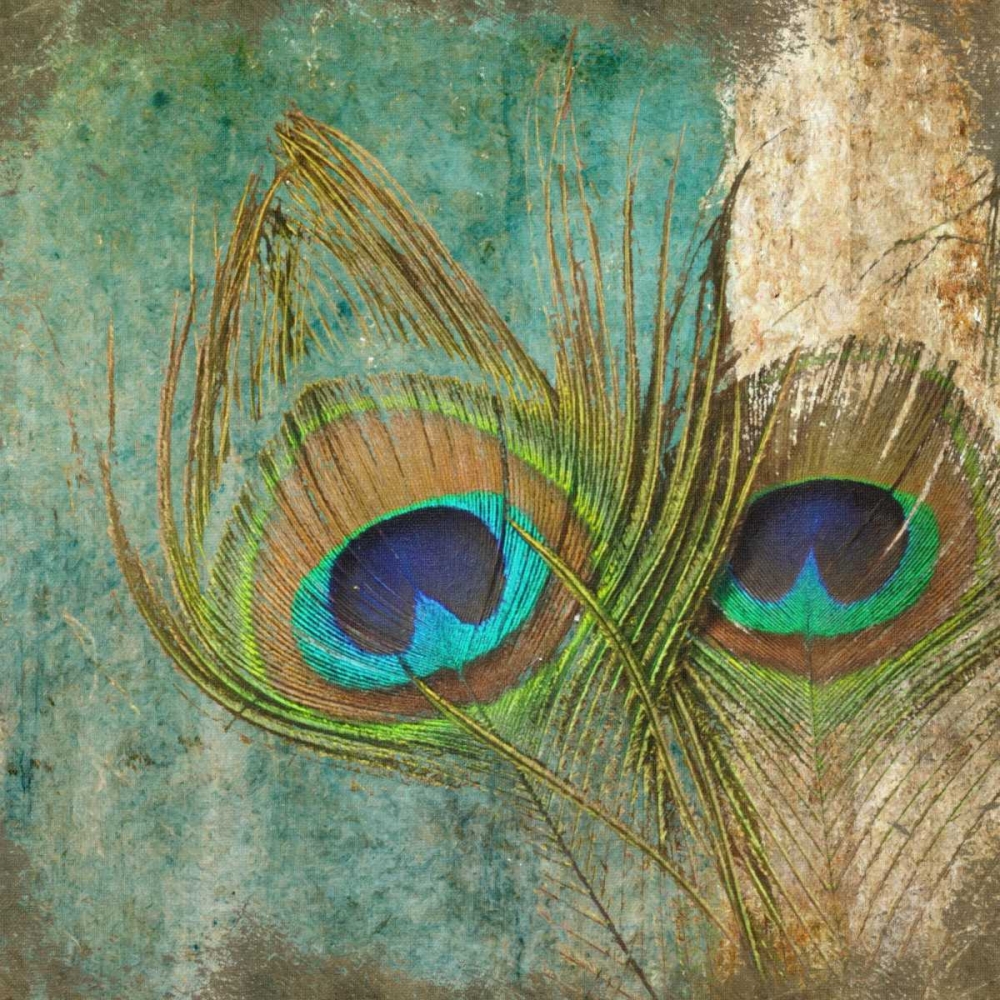 Peacock 2