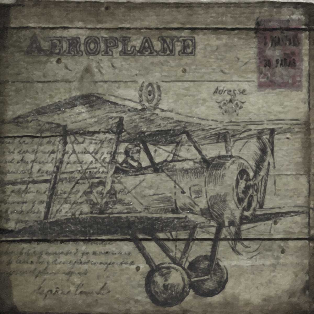 Vintage  Aeroplane