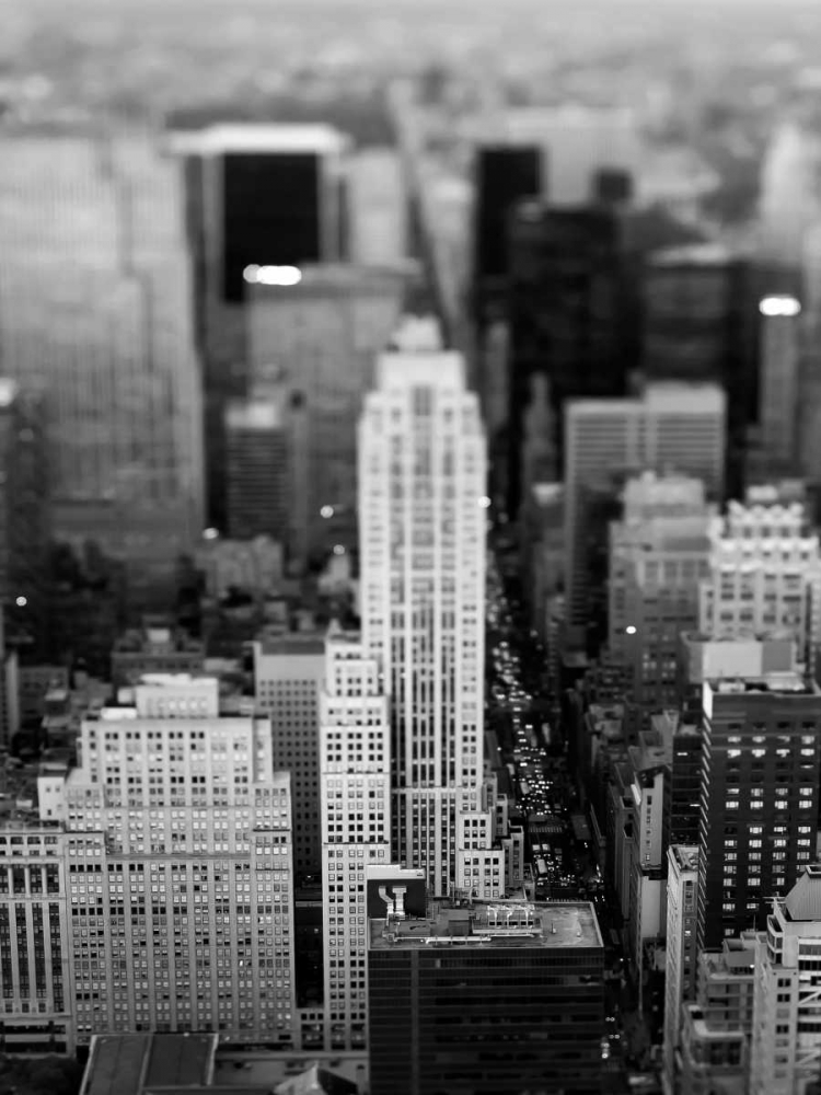 Fifth Ave NYC