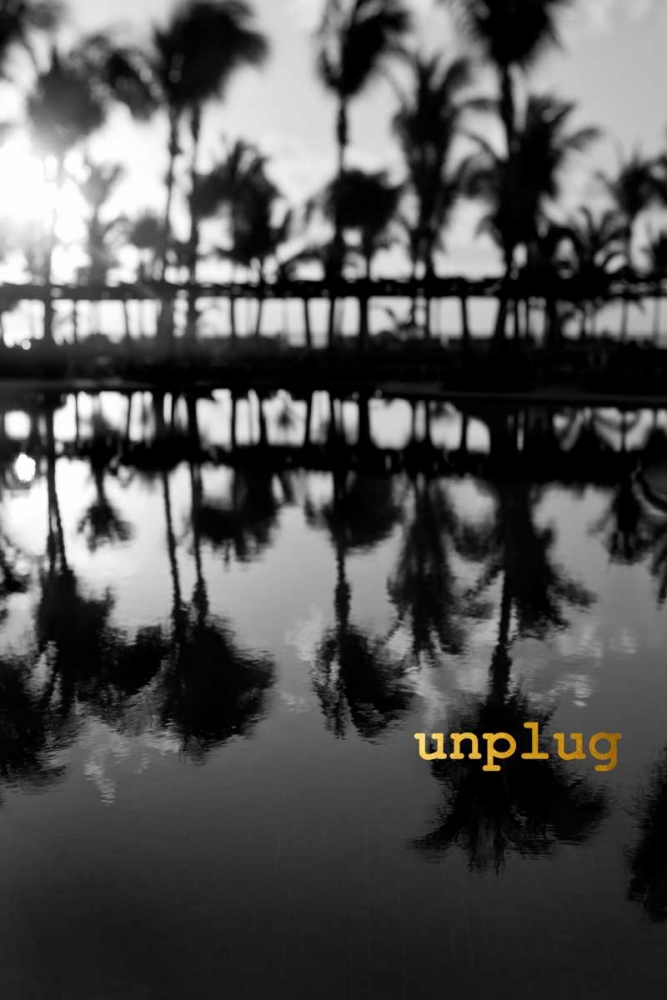 Palms Unplugged