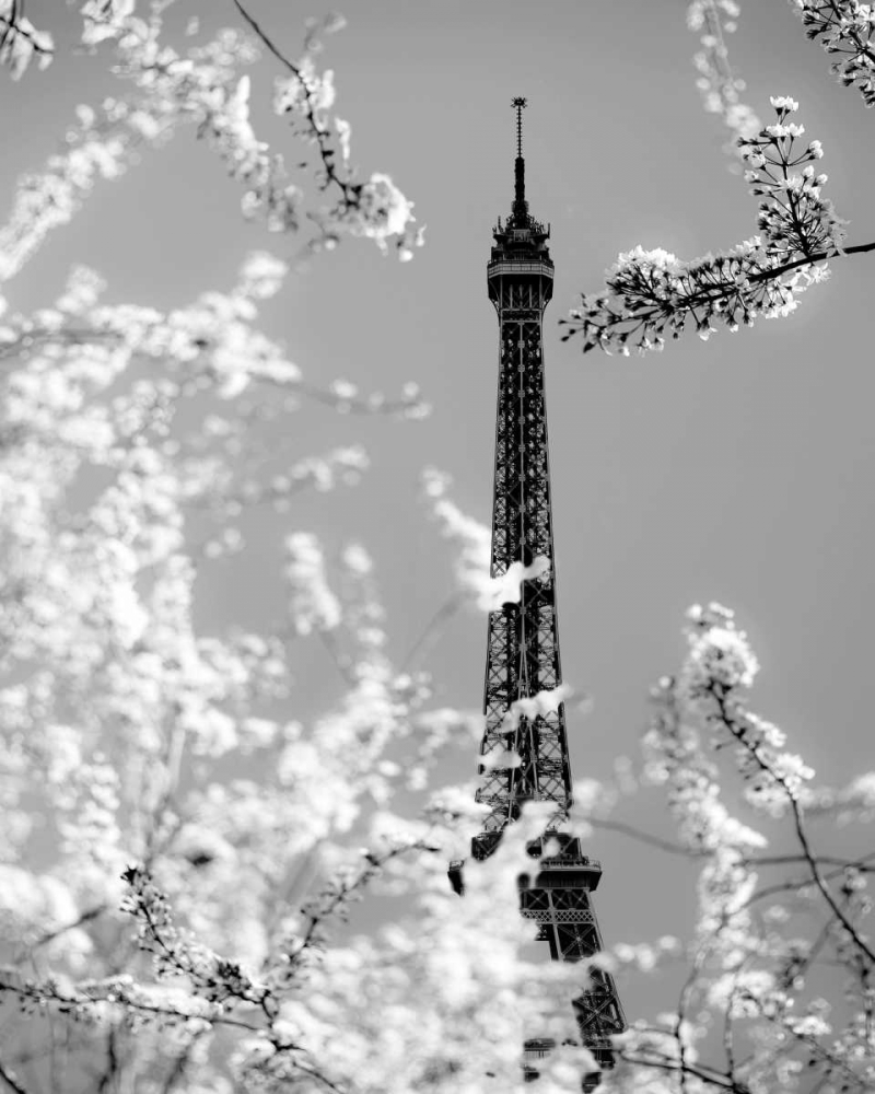 Spring Eiffel BW