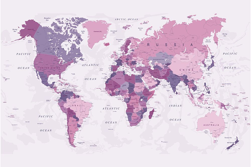 World Map Pink