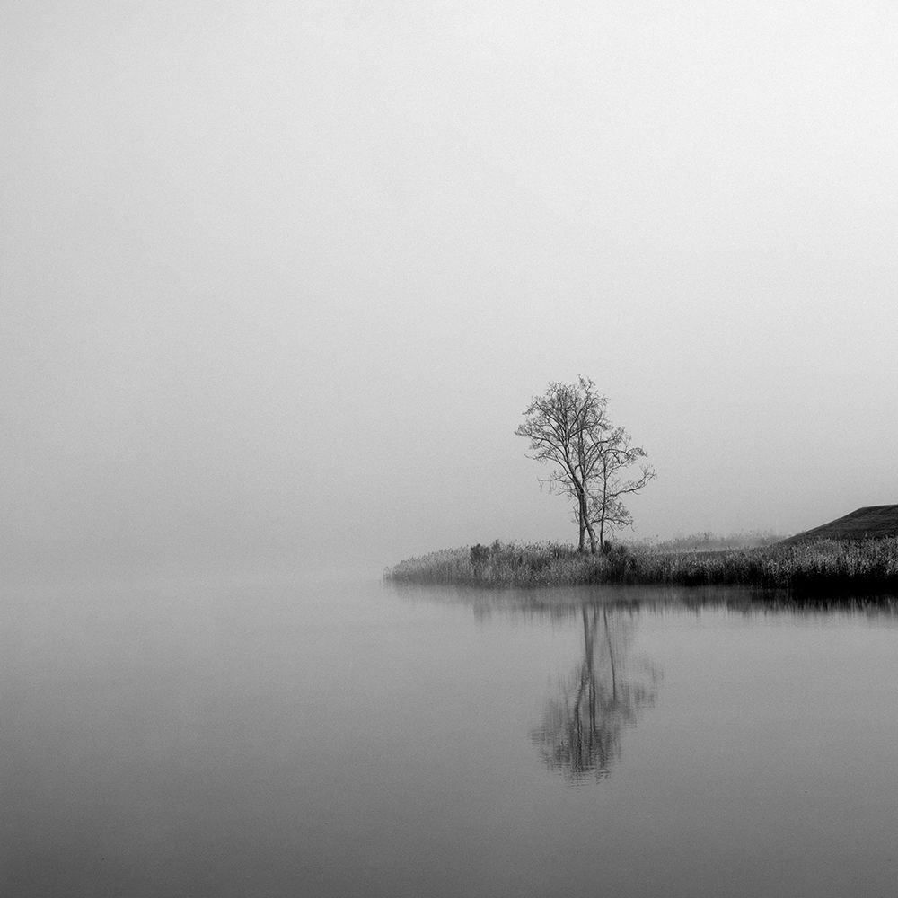 Winter Mist Square