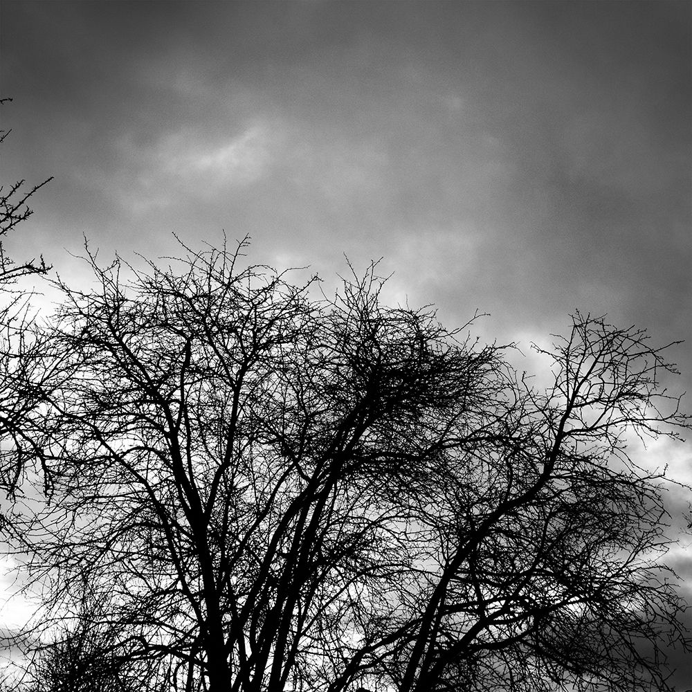 Winter Sky Square
