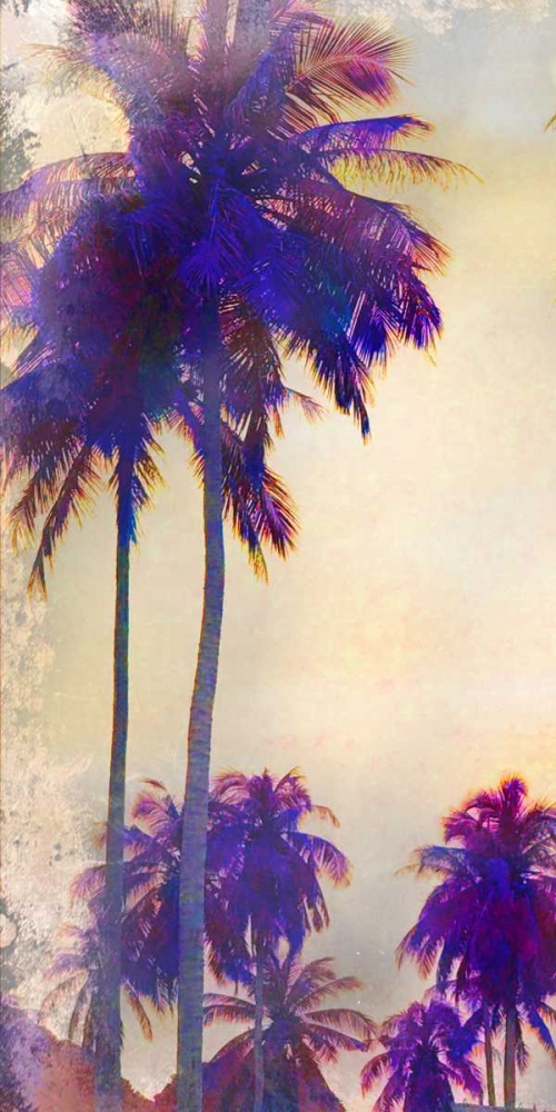 Thailand Palms 2