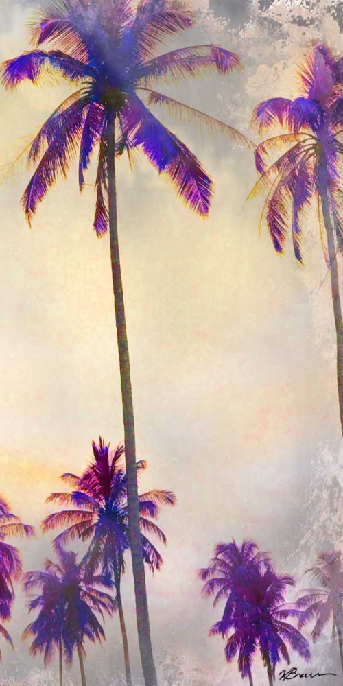 Thailand Palms 3