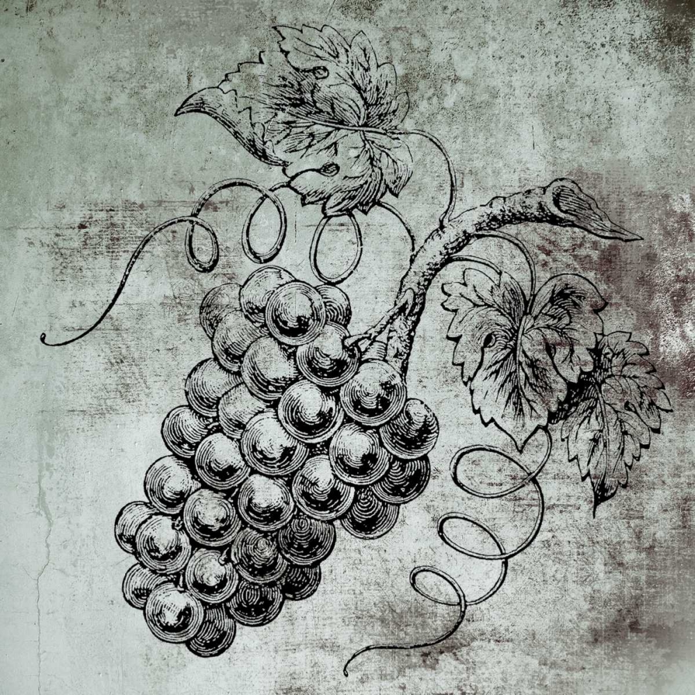 Vine Grapes