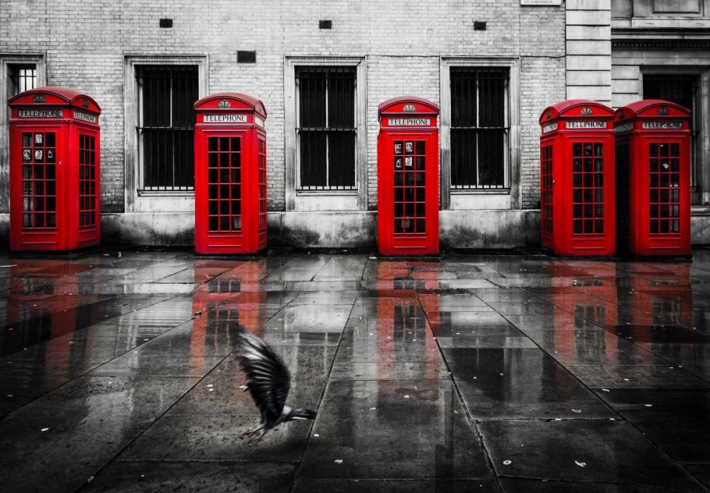 London Phone Booths Bird