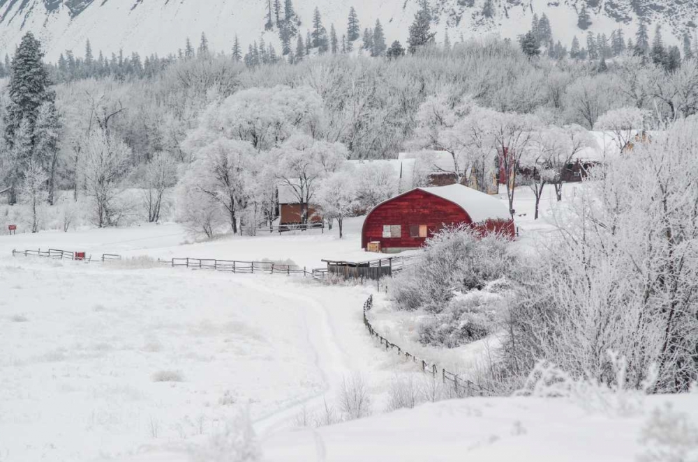 Farm In The Snow
