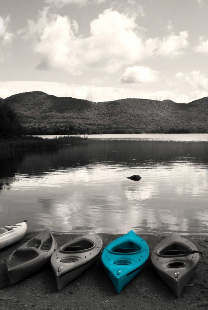 Kayaks Teal