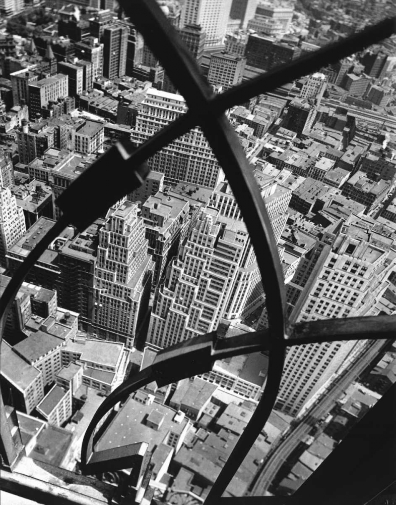 New York View
