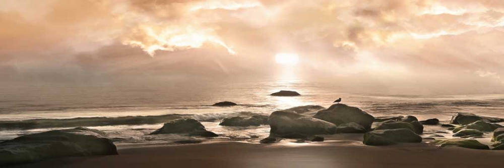 Coast to Coast Sepia IV