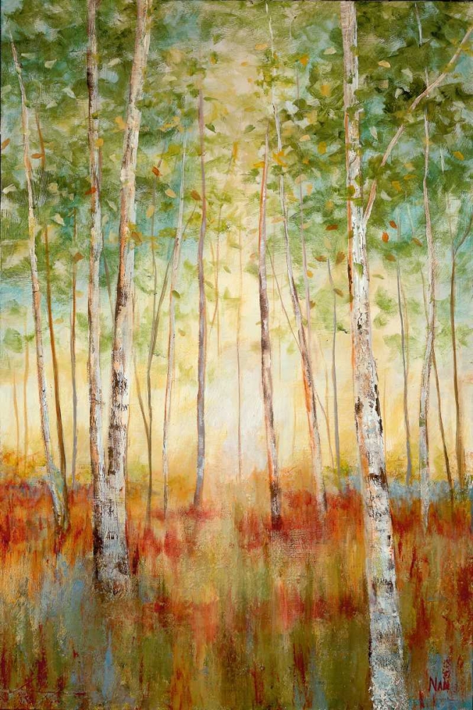 Birch Woods