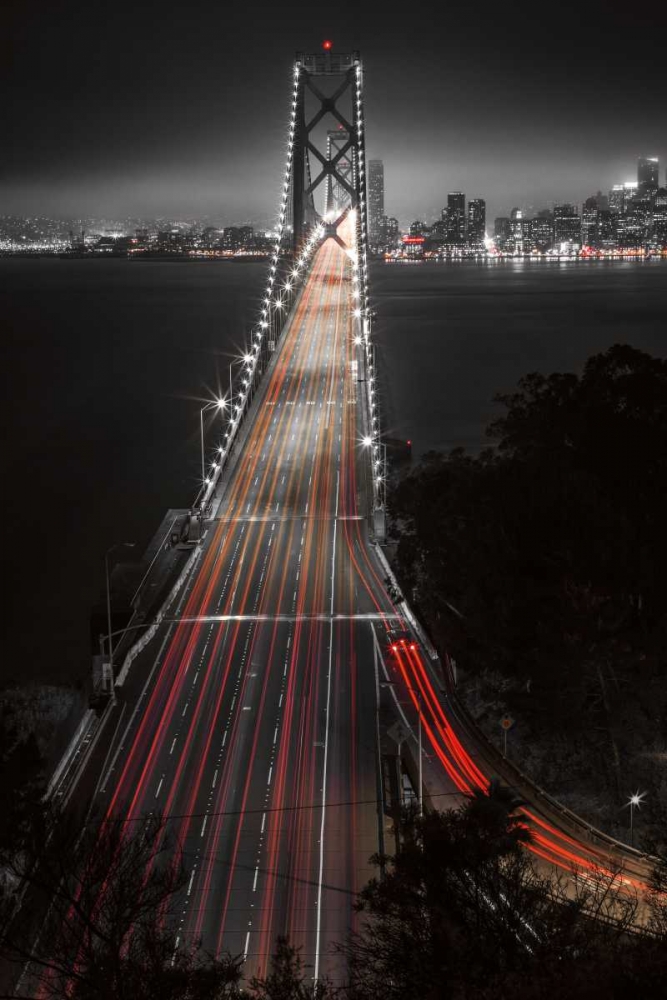 The Bay