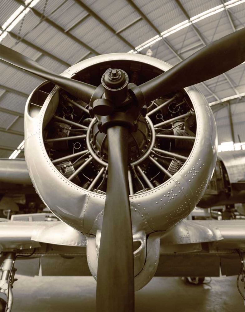 WWII Fighter