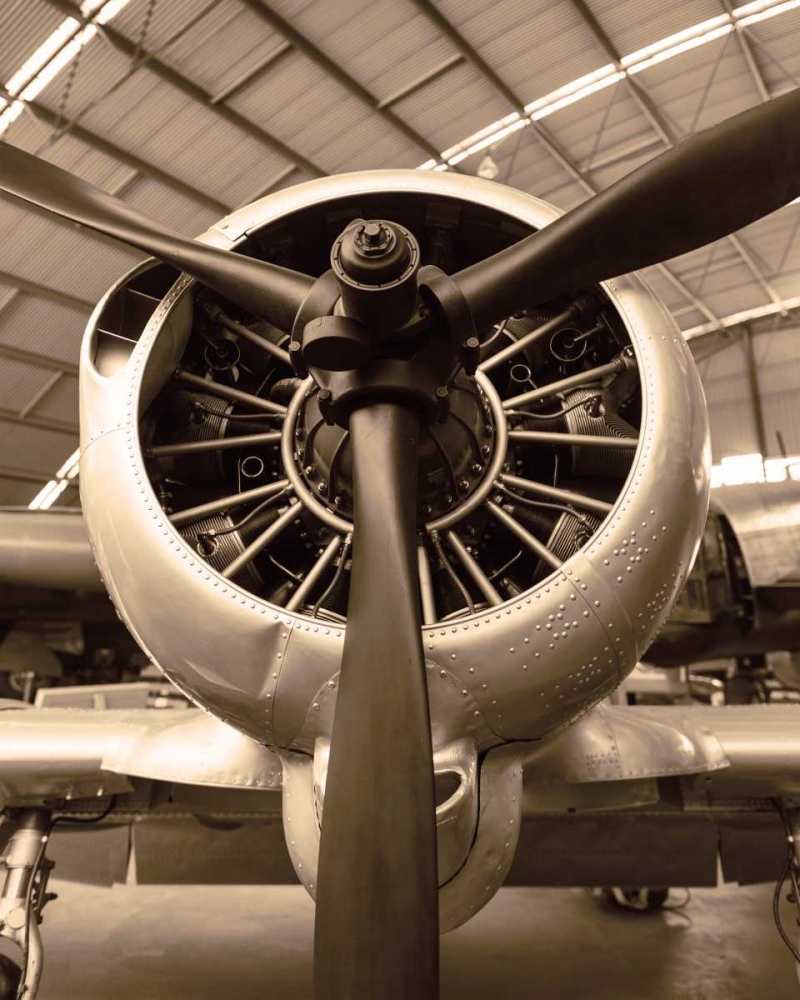 WW II Fighter