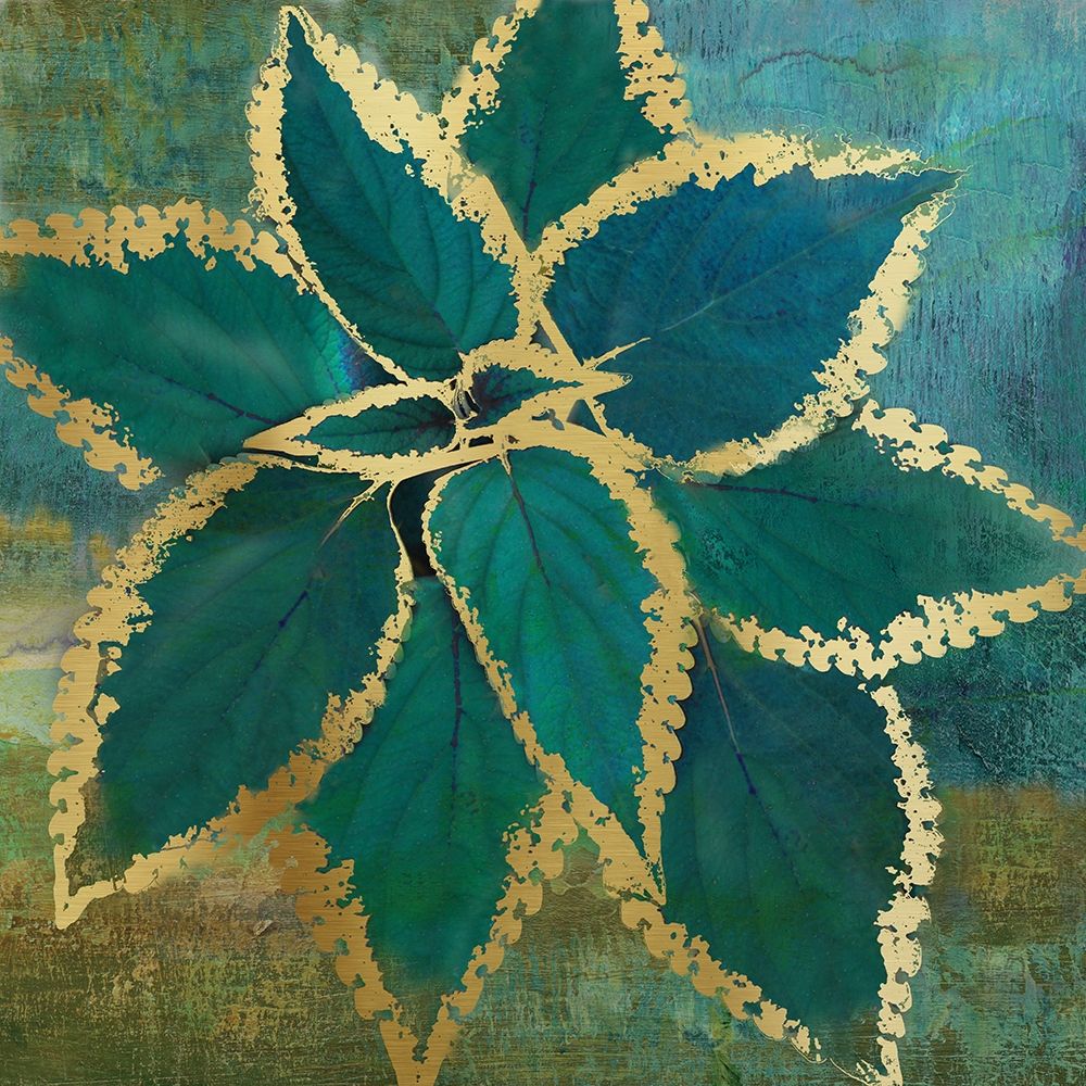 Tropical Burst