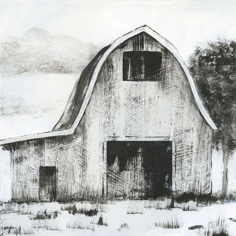 Black and White Barn II