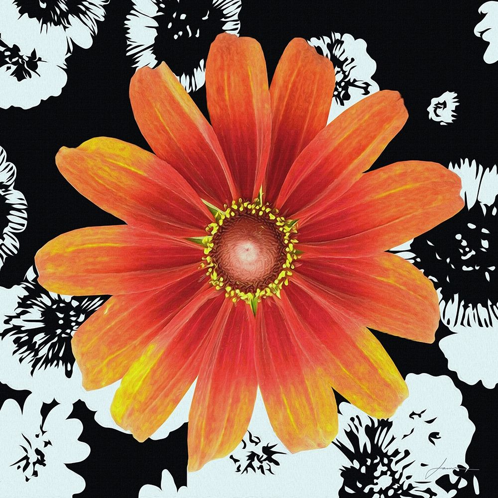 Black and Bloom