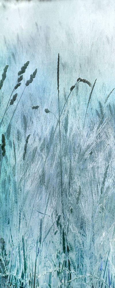 Blue Field
