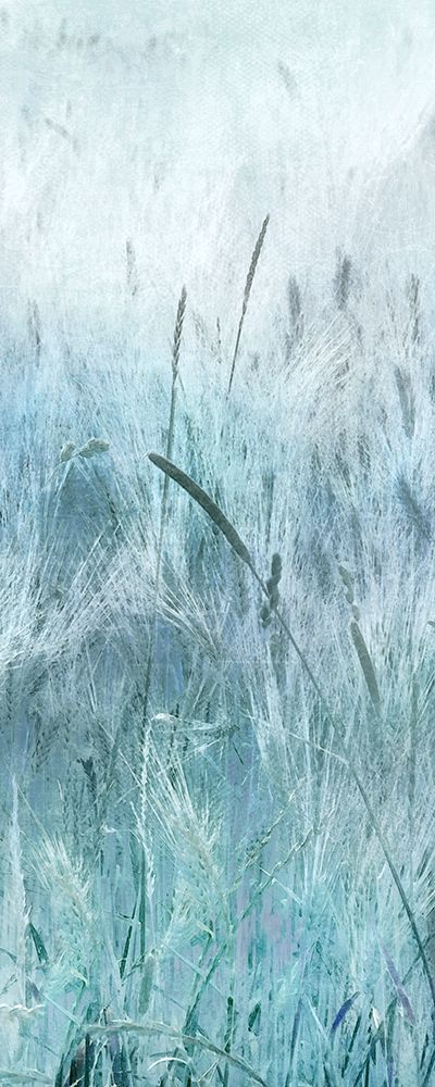 Blue Field Forever