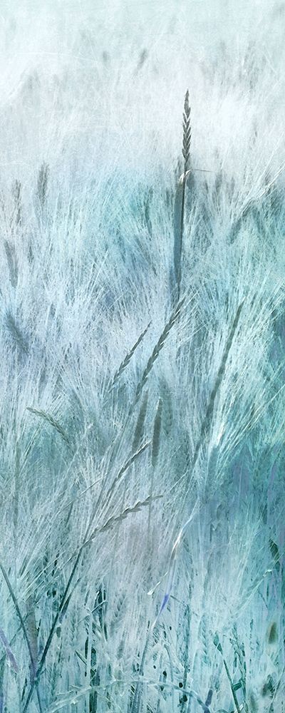 Blue Field