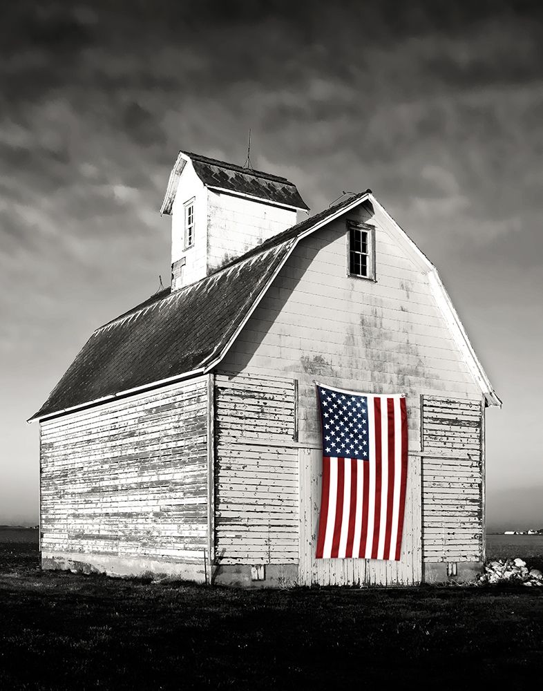 Modern Barn I