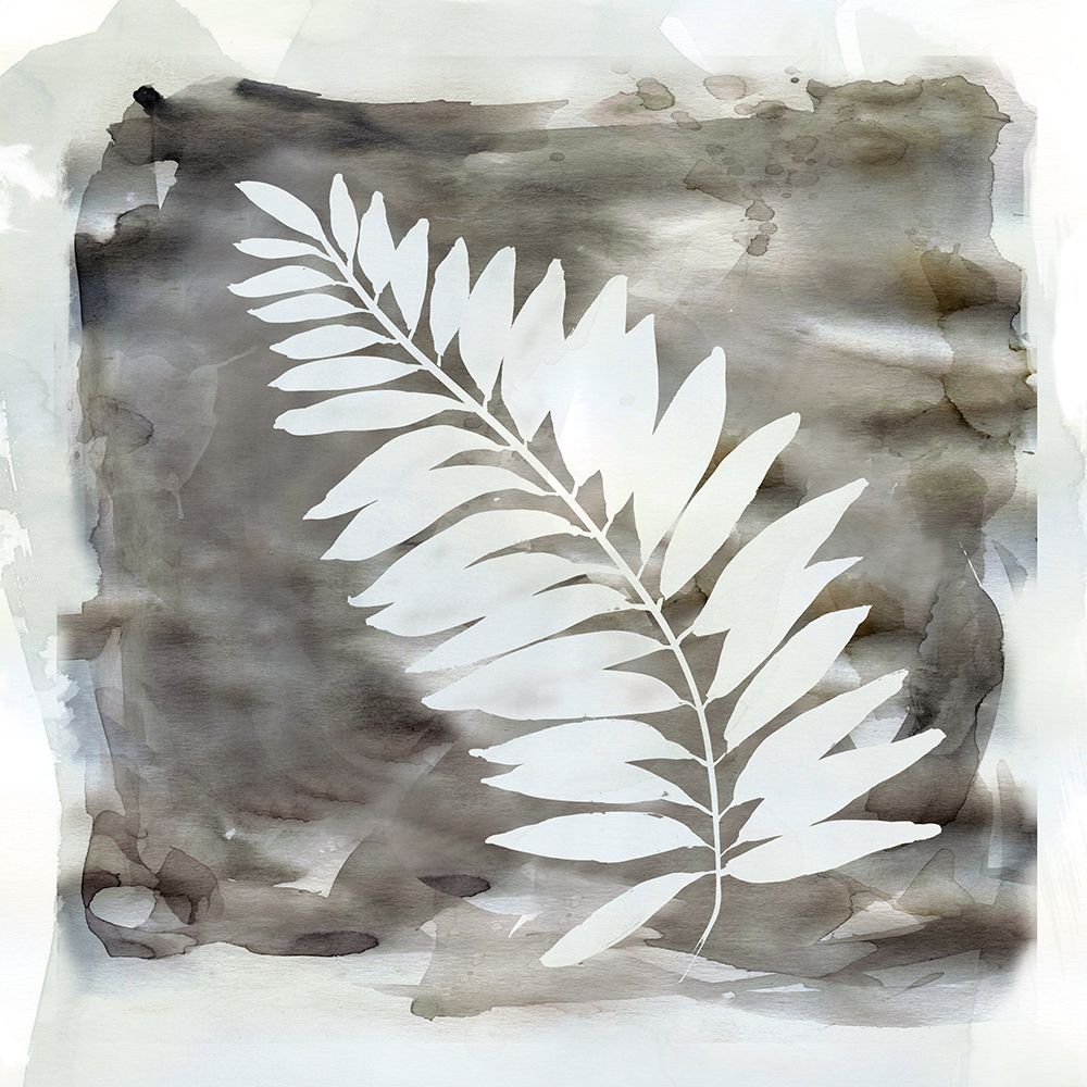 Palm Wash II