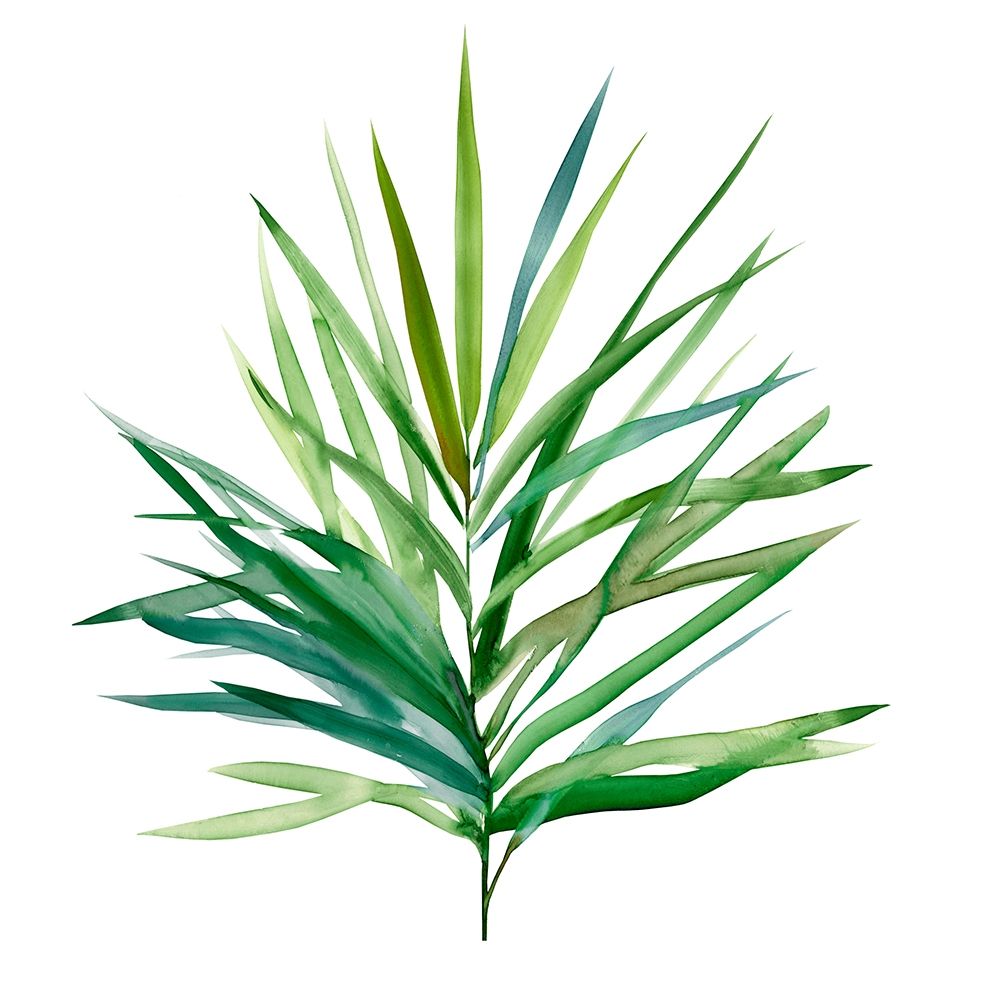 Palm Frond I