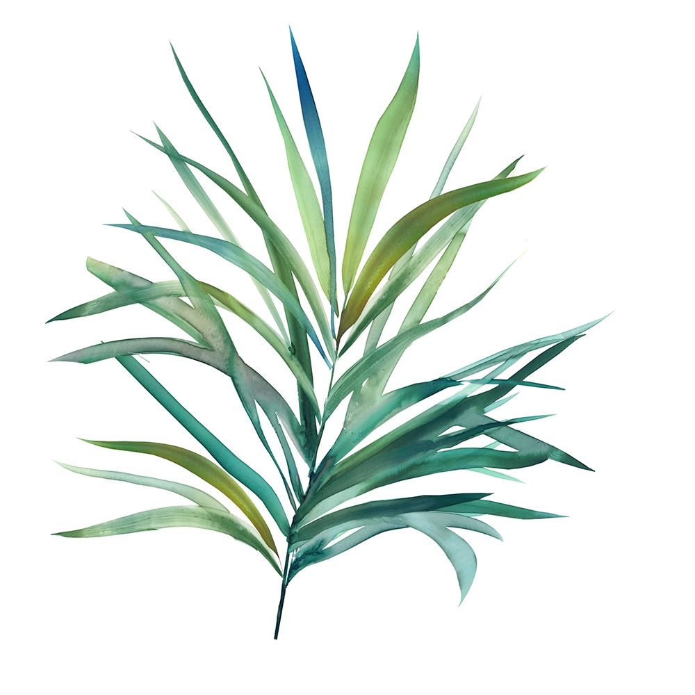 Palm Frond III
