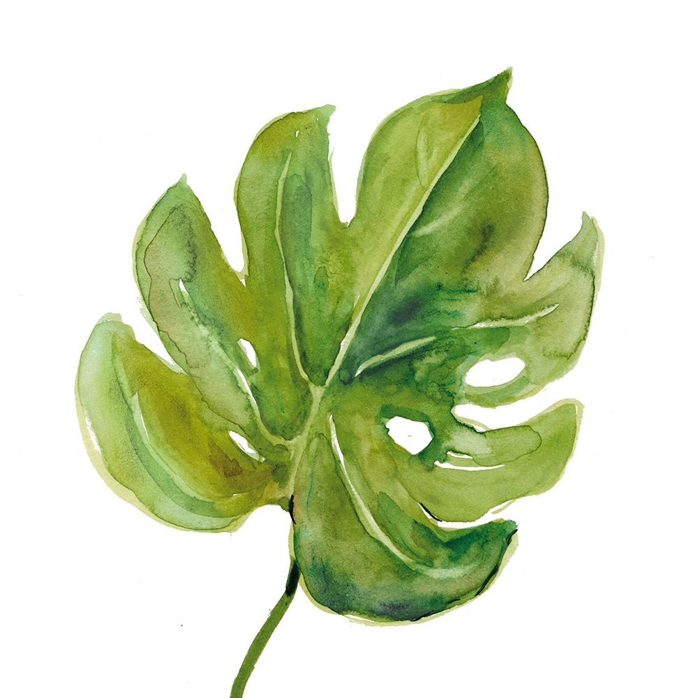 Tropical Frond I