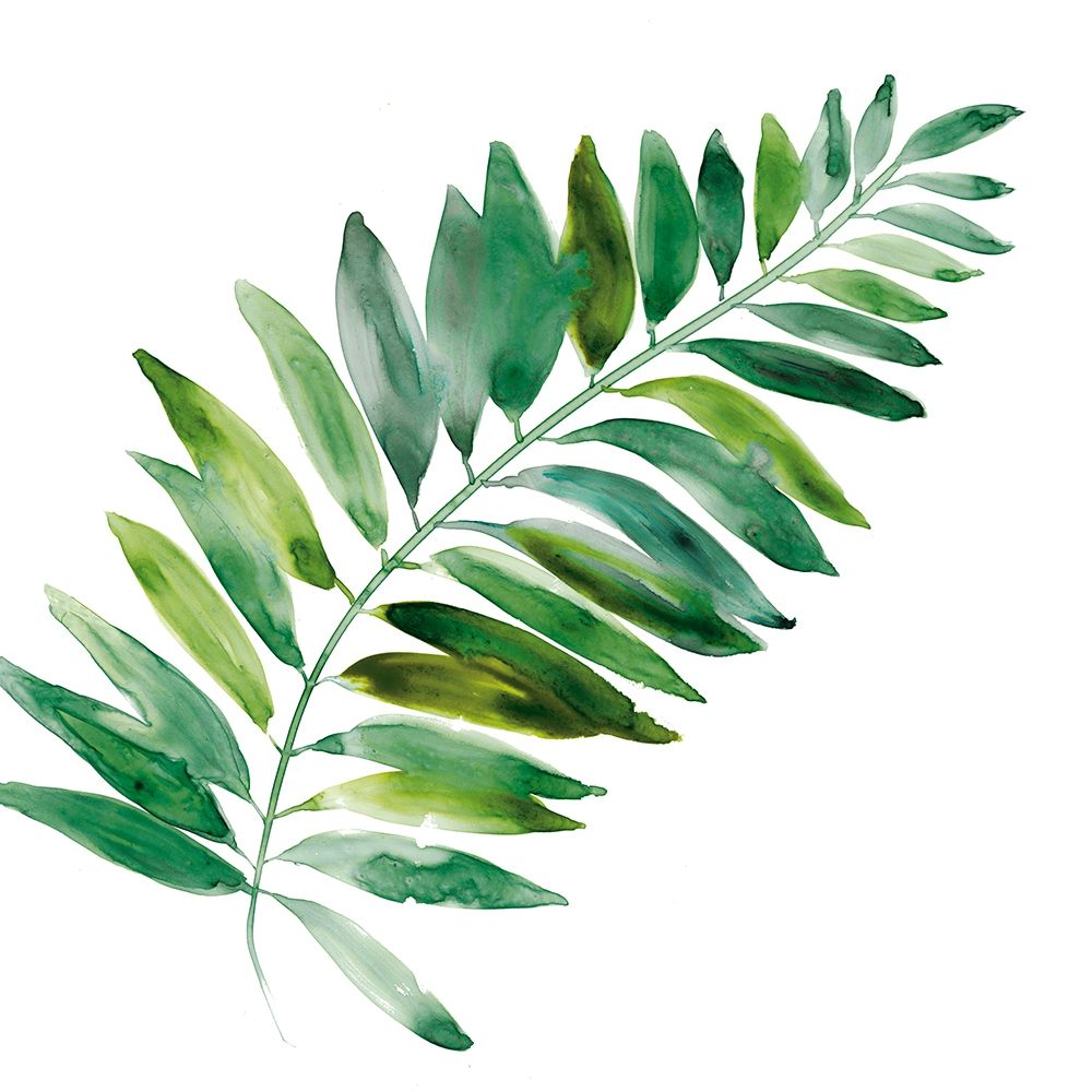 Tropical Frond II